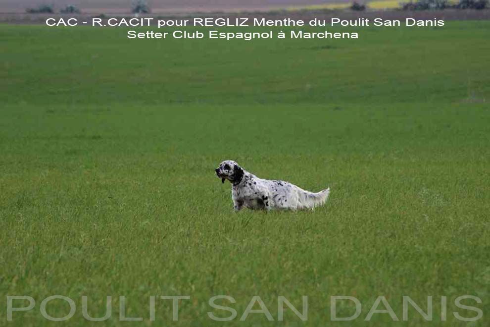 CAC – R.CACIT pour REGLIZ Menthe du Poulit San Danis