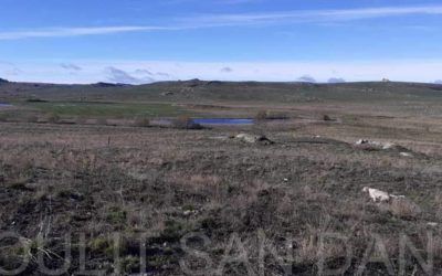 Novembre 2026 – Entraînement-chasse en Aubrac avec nos setters